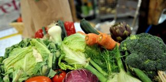 Microbioma alleato contro il mieloma: “Dieta ricca di fibre può frenarlo”