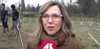 KilometroVerdeParma, piantato il 100.000° albero