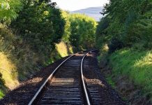 Borgo Mantovano, il Comune ai proprietari: “Tagliate le piante a rischio vicino alla ferrovia”