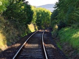 Borgo Mantovano, il Comune ai proprietari: “Tagliate le piante a rischio vicino alla ferrovia”