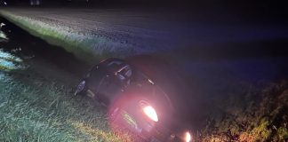 Con un tasso alcolico cinque volte oltre il limite esce di strada: denunciato