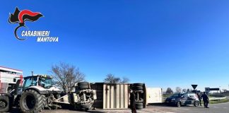 Castellucchio, trattore si ribalta alla rotonda: morti una trentina di maiali