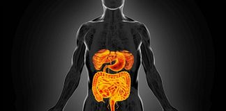 Intestino sempre giovane, è possibile: come fermare invecchiamento e prevenire tumori