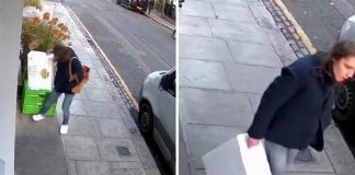 Londra, mistero della ‘ladra di langoustine’: rubati crostacei, manzo e orchidee rare