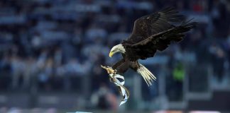 Lazio, debutta all’Olimpico la nuova aquila: primo volo per Flaminia