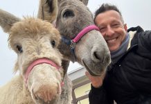 Luna e Fagiolina entrano a far parte del progetto riabilitativo della Casa del Sole