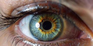 Farmaci, aflibercept 8 mg: nuovi dati confermano efficacia e sostenibilità in maculopatie