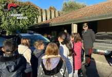 Educazione alla legalità: 200 ragazzi in visita ai carabinieri di Castiglione, Monzambano e Suzzara