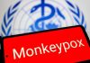 Vaiolo delle scimmie, Oms: “Mpox continua a circolare, a novembre 2.150 casi e 5 morti”