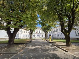 Marzo ricco di eventi al MuVi di Viadana tra mostre, incontri e laboratori