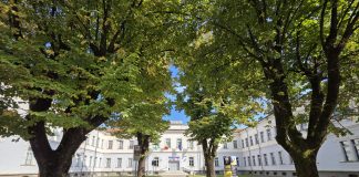 MuVi di Viadana: un febbraio ricco di incontri, arte, libri e musica