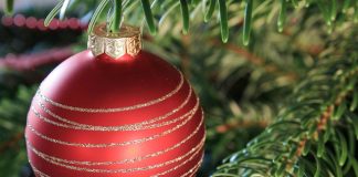 Natale a Borgocarbonara: il pogramma completo degli eventi