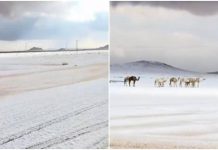 L’Arabia Saudita ‘riscopre’ la neve, primi fiocchi dopo 30 anni