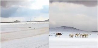 L’Arabia Saudita ‘riscopre’ la neve