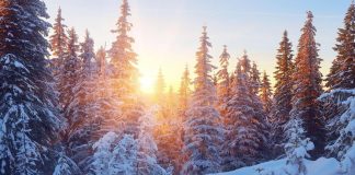 21 dicembre, ecco perché il solstizio d’Inverno è il giorno più corto dell’anno