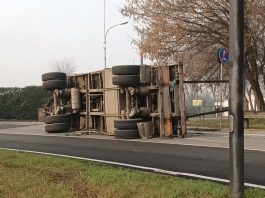 Borgoforte, rimorchio carico di legname si rovescia: provinciale Cisa bloccata e traffico in tilt