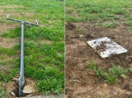 Foibe, Comitato 10 Febbraio: “A Firenze distrutta la targa dedicata a Norma Cossetto”