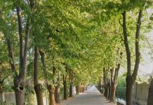 Castel Goffredo, piano per la sicurezza di via Molino Nuovo e via Anselmo Cessi