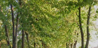 Castel Goffredo, messa in sicurezza vie Molino Nuovo e Cessi: Comune presenta piano