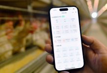 La Cina crea un sistema di registrazione per i diritti di proprietà dei dati