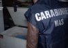 Macellazione clandestina a Salerno, sequestrati 6 quintali di carni