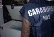 Macellazione clandestina a Salerno, sequestrati 6 quintali di carni