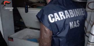 Macellazione clandestina a Salerno, sequestrati 6 quintali di carni