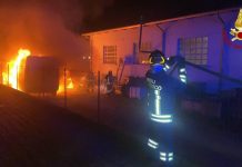Suzzara, furgone parcheggiato prende fuoco: da chiarire le cause dell’incendio