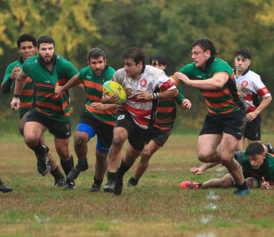 Mantova Rugby batte Milano Sud 24–10 e resta in corsa per la vetta