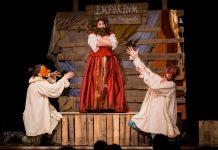 Viadana, l’Istituto Superiore Sanfelice a teatro in collaborazione con Mister Wolf