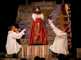 Viadana, l’Istituto Superiore Sanfelice a teatro in collaborazione con Mister Wolf