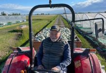 Addio a Tonino Zerbinati, il re del melone che ha portato Sermide nel mondo