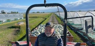 Addio a Tonino Zerbinati, il re del melone che ha portato Sermide nel mondo