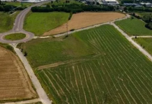 Polo Olmolungo-Valdaro: approvati gli interventi di mitigazione ambientale