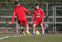 Il Mantova riparte a Veronello: doppia seduta, in gruppo anche Bardi e Zuccon