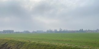 Curtatone, area commerciale su suolo agricolo: Carra presenta due interrogazioni in Regione