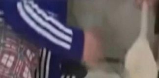 Catania, bimbo picchiato con un cucchiaio di legno: scatta il divieto di avvicinamento per i genitori