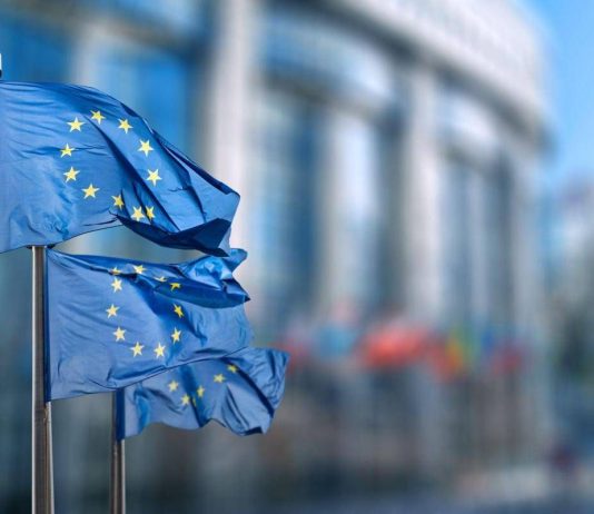 Ue, Assopannelli: “Su nuova proposta Commissione Ue chiediamo certezze e iter veloce”