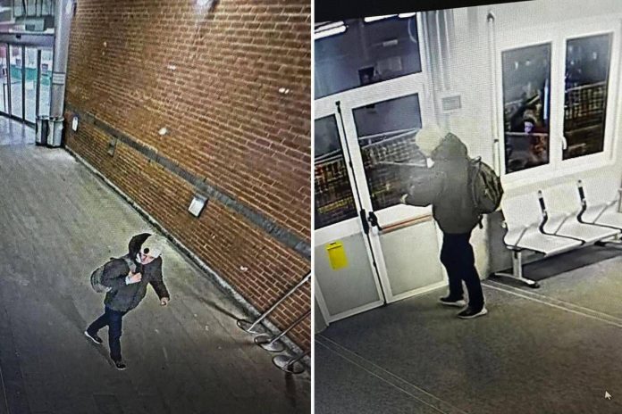 bologna_capotreno_killer