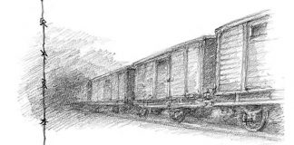 “Testimonianze e Memorie”: la Campogalliani mette in scena le storie degli internati italiani