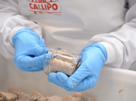 Callipo premia i collaboratori di tutto il Gruppo, 950 euro in Buoni benzina