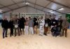 Bovimac chiude a 7mila visitatori. Goldfarm Gertie è la campionessa della mostra bovina