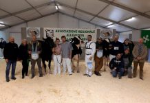 Bovimac chiude a 7mila visitatori. Goldfarm Gertie è la campionessa della mostra bovina
