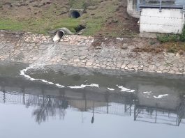 Gonzaga, misteriosa schiuma bianca nel canale di bonifica: avviati gli accertamenti