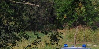 Messina, trovati tre cadaveri crivellati di colpi nel bosco di Montagnareale: si tratterebbe di tre cacciatori