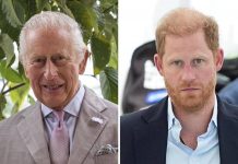 Re Carlo e Harry, nessun incontro a Londra alla fine del mese