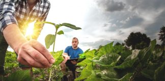 Agroalimentare: l’UE mette in campo 160 milioni per la promozione globale