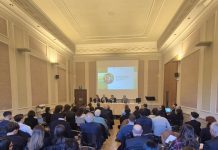 Terziario mantovano sempre più green: il 71% ha già investito in sostenibilità