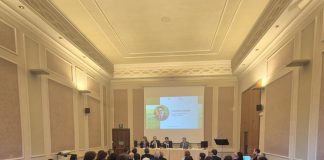 Terziario mantovano sempre più green: il 71% ha già investito in sostenibilità