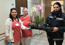 Poggio Rusco, piante sequestrate donate a strutture sociali dalla Polizia Locale